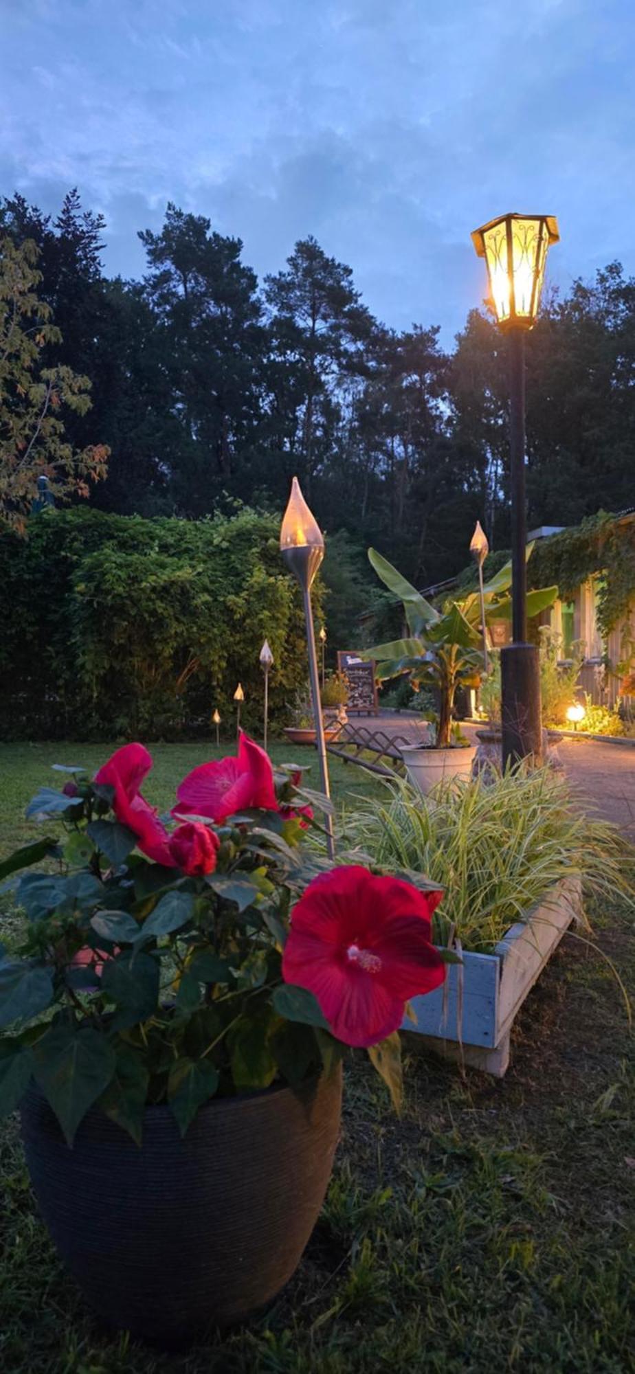 Waldpension Gussow Heidesee Dış mekan fotoğraf