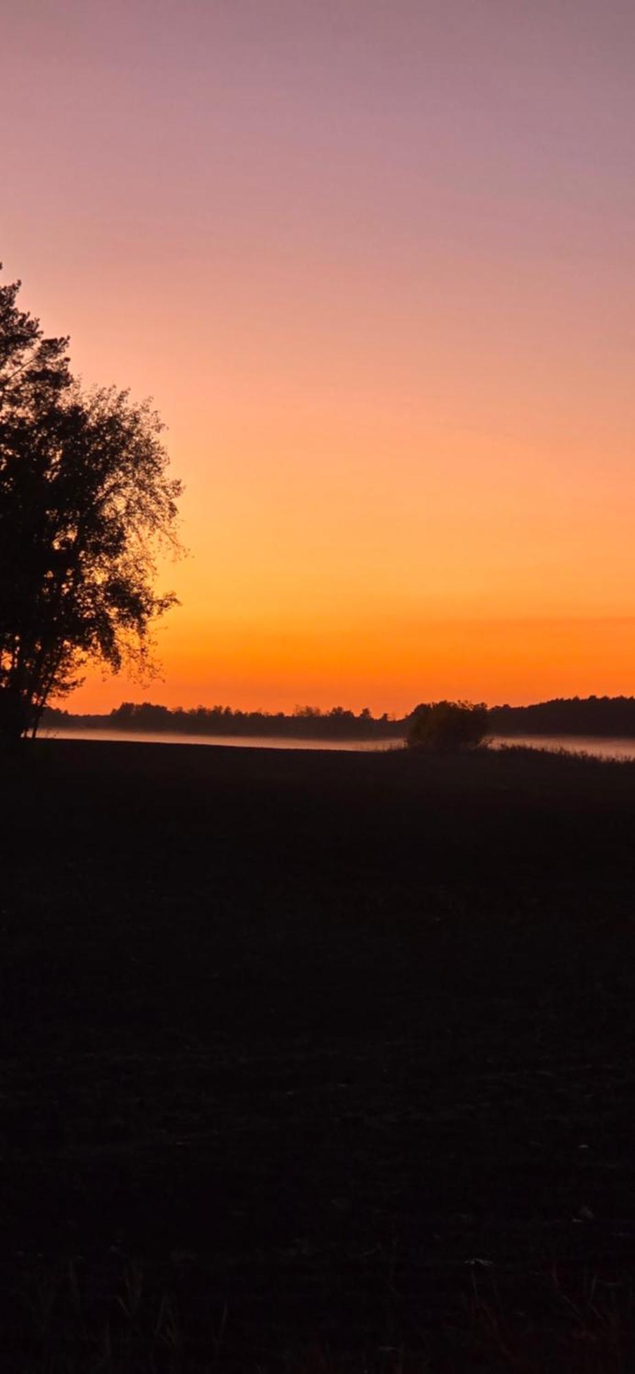 Waldpension Gussow Heidesee Dış mekan fotoğraf